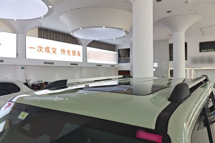 Used Tank 300 2021 City Edition 2.0T My Vision Model