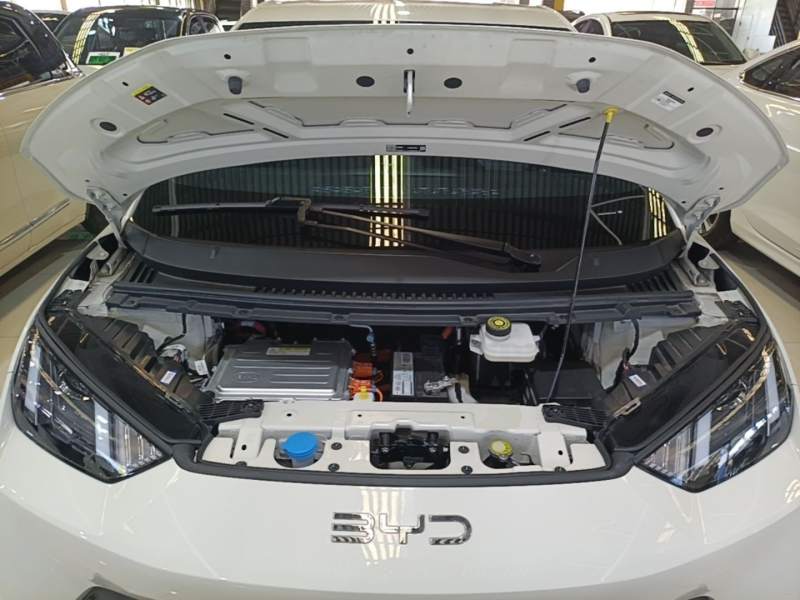 Used BYD Seagull 2025 305km Active Version — 19