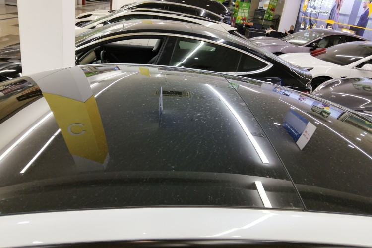 Used Tesla Model 3 2023 Rear-Wheel-Drive Version Roof