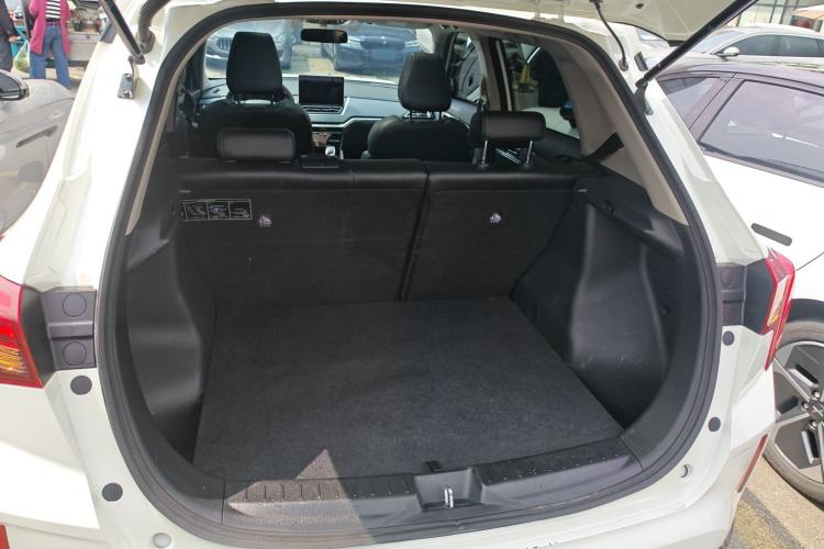 Used Venucia T60EV 2020 AI Enjoyment Model
