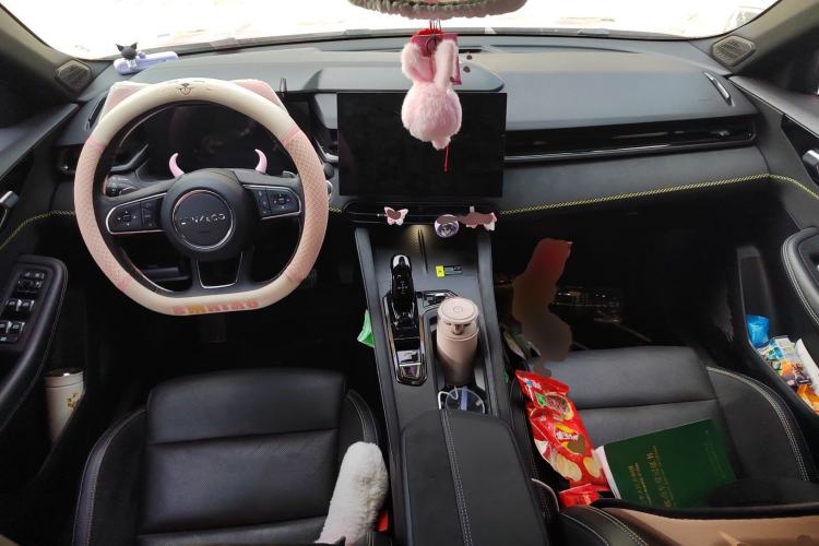 Used Lynk & Co 03 2023 1.5TD DCT JingPro Center Console