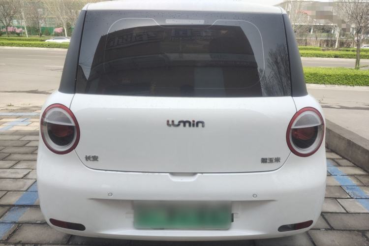 Used CHANGAN NEVO Lumin 2023 205km Xiangqin Version Rear