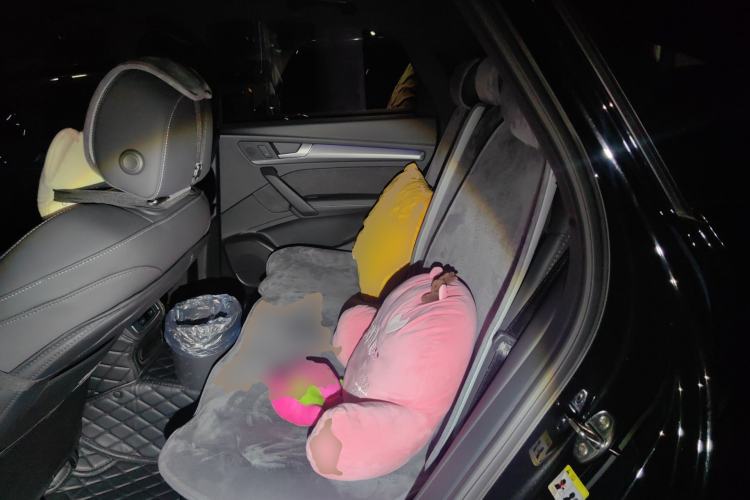 Used Audi Q5L Sportback 2022 40 TFSI Luxury Model Left Rear Seat