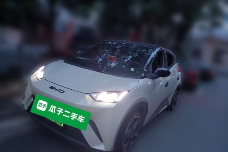 Used BYD Seagull 2023 Free Edition Guazi used car, China used car export, Used car for sale, Used cars, Cheapest cars for sale
