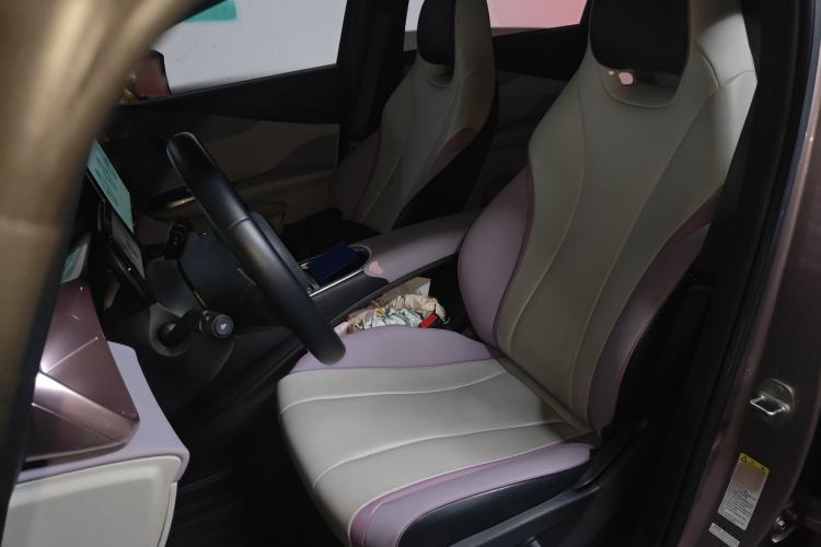 Used BYD Dolphin 2021 405 km Fashion Edition Left Front Seat