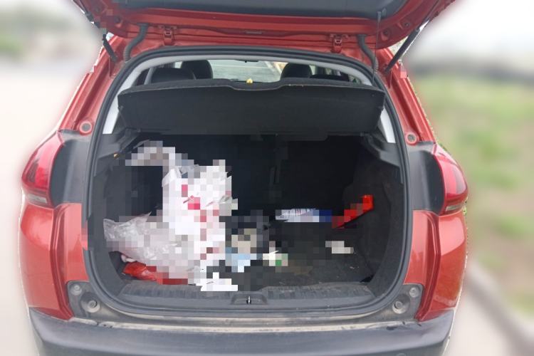 Used Peugeot 2008 2018 1.6L Automatic Fashion Edition Trunk