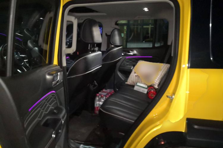 Used Tank 300 2022 2.0T Border Limited Edition Left Rear Seat