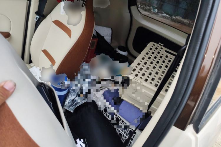 Used Xiaohu EV 2021 FOR-Two Little Cute Tiger Lithium-Ion Battery
