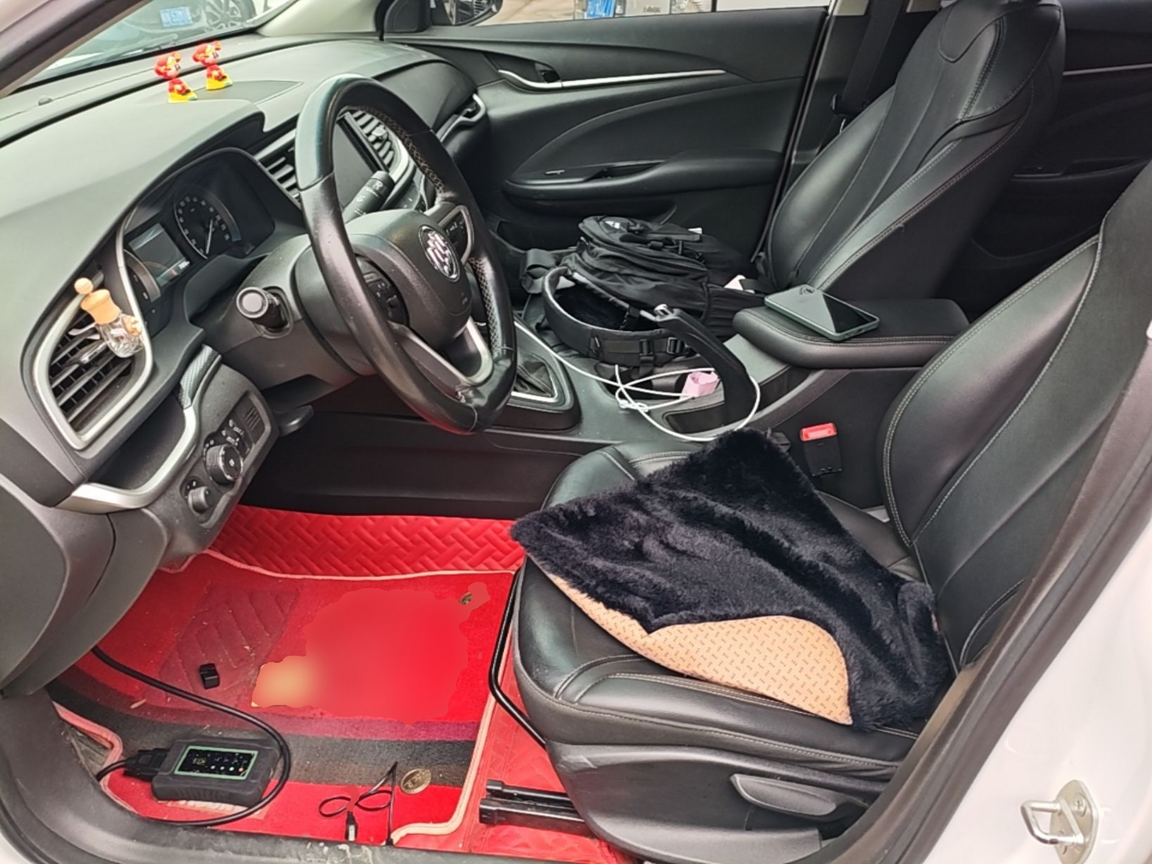 Interior delantero