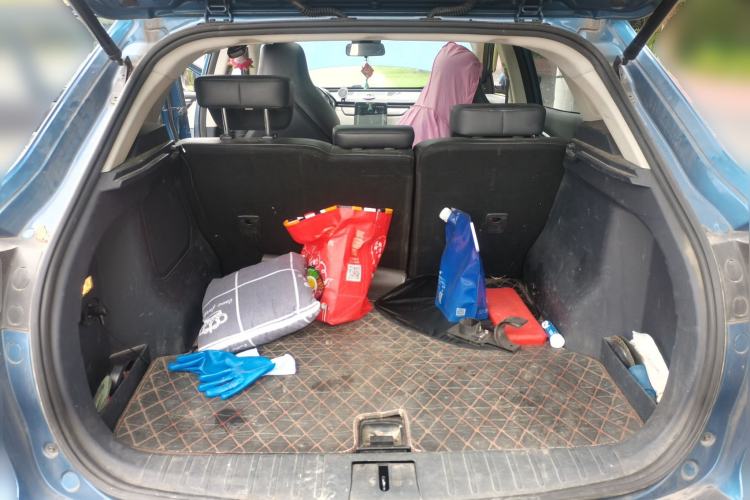 Used WM Motor EX5 2020 EX5-Z Nex Exploration Edition