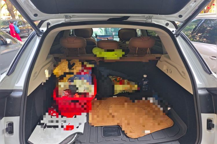 Used Leapmotor C11 2026 Range-Extended 300 LiDAR Prestige Edition
