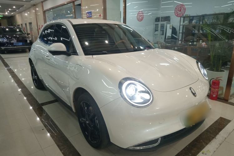 Used ORA Good Cat 2024 401 km Luxury Version