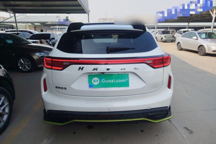 Used Haval LHERY 2021 High-Performance Version 1.5T Golden Rabbit Rear