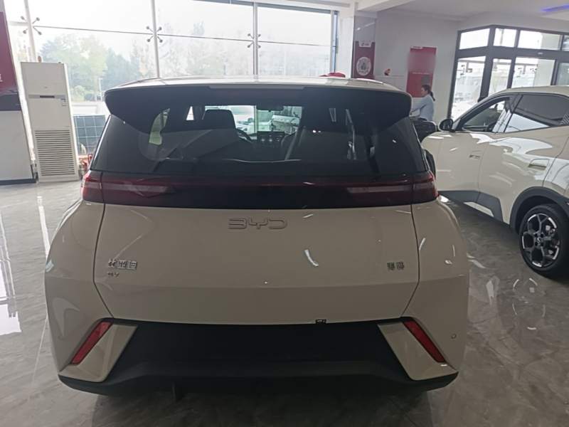 Used BYD Seagull 2024 Honor Edition 305km Freedom Version — 5