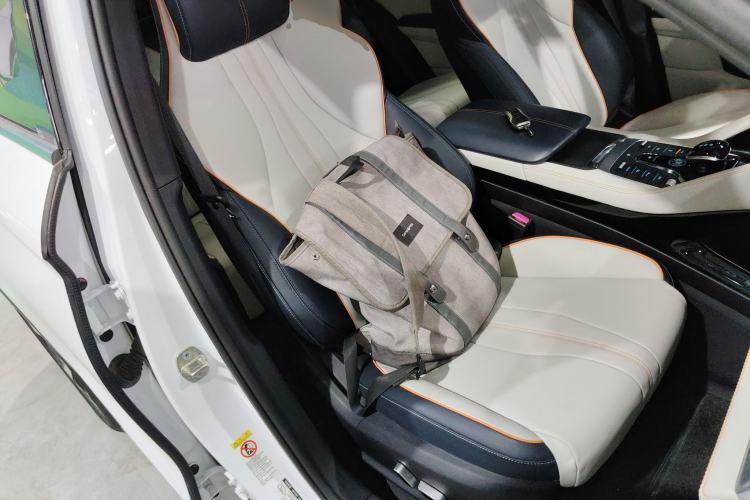 Used BYD Song PLUS New Energy 2021 EV Deluxe Model Right Front Seat