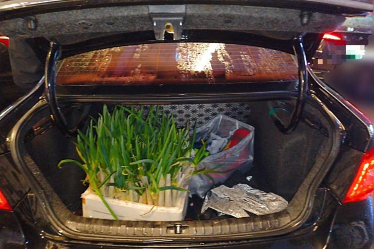 Used Volkswagen Bora 2012 1.6L Automatic Fashion Edition
