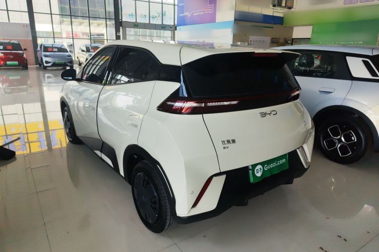 Used BYD Seagull 2025 305km Active Version Rear Left 45 Deg