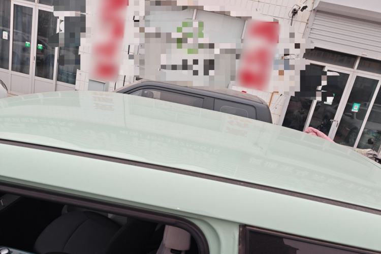 Used Qiyuan Lumin 2023 205km Xiangqin Version