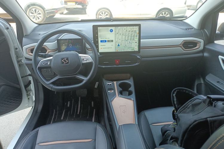 Used SOL E10X 2022 Flower Fairy Style Baby's Breath
