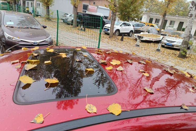 Used BYD Qin Pro New Energy 2019 EV Super Edition High-Power Long-Range Smart-Connected Cutting-Edge Model Roof