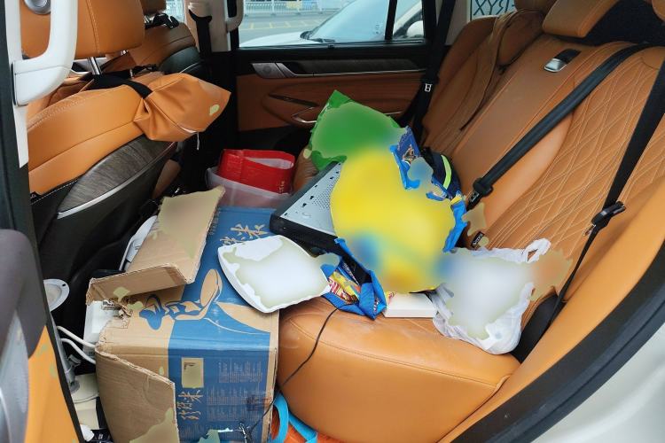 Used Tank 500 2022 3.0T Sport Edition "Creation" Version 5-Seater
