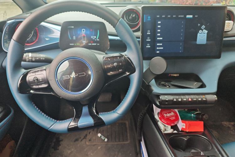 Used BYD Dolphin 2021 401km Knight Edition Interior 2