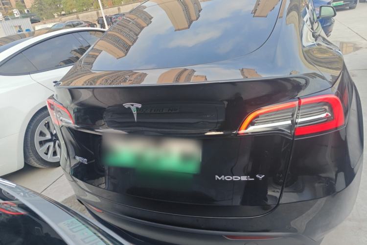 Used Tesla Model Y 2021 Standard Range Rear-Wheel Drive Version
