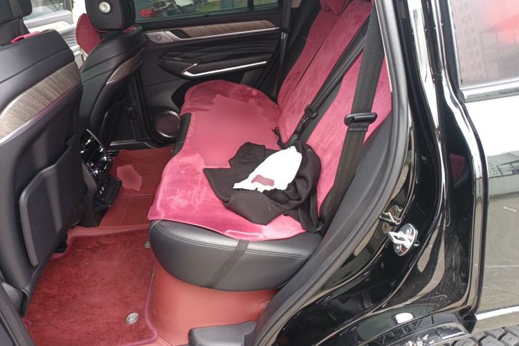 Used Tank 500 New Energy 2024 Hi4-T Black Warrior Edition Left Rear Seat