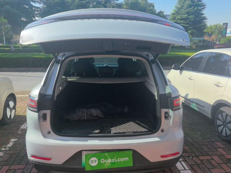 Used Leapmotor C11 2021 Executive Edition 610 — 18