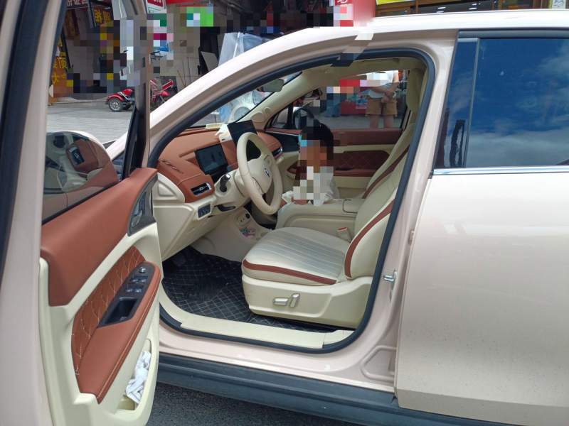 Used ORA Good Cat 2025 Model, 430 km Luxury Version — 7
