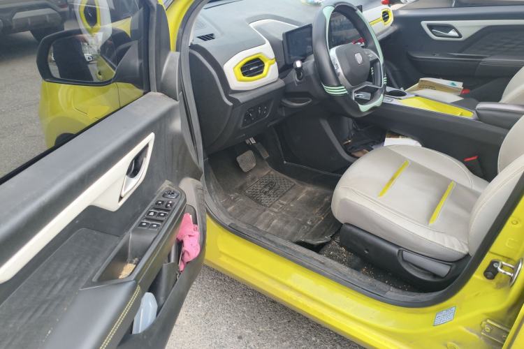 Used SOL E10X 2022 Flower Fairy Design Four-Leaf Clover
