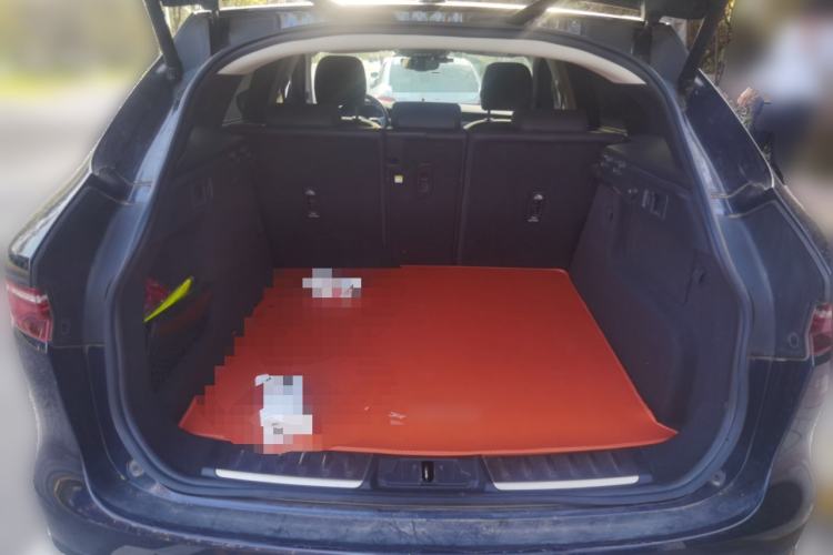 Used Jaguar F-PACE 2021 250 PS Trunk