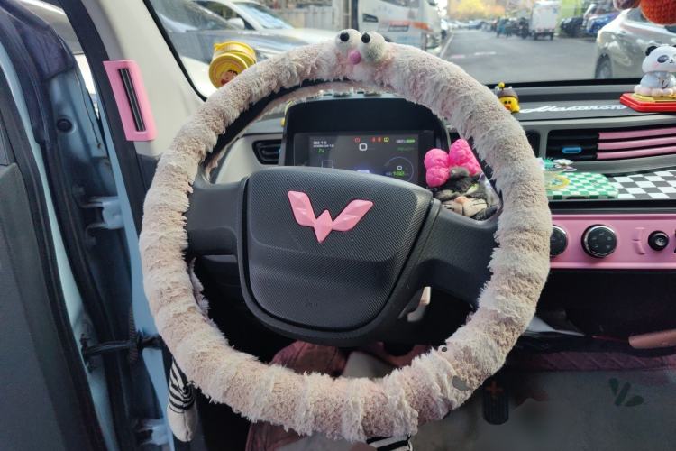 Used Wuling Hongguang MINIEV 2020 Enjoyment Model Lithium Iron Phosphate Steering Wheel
