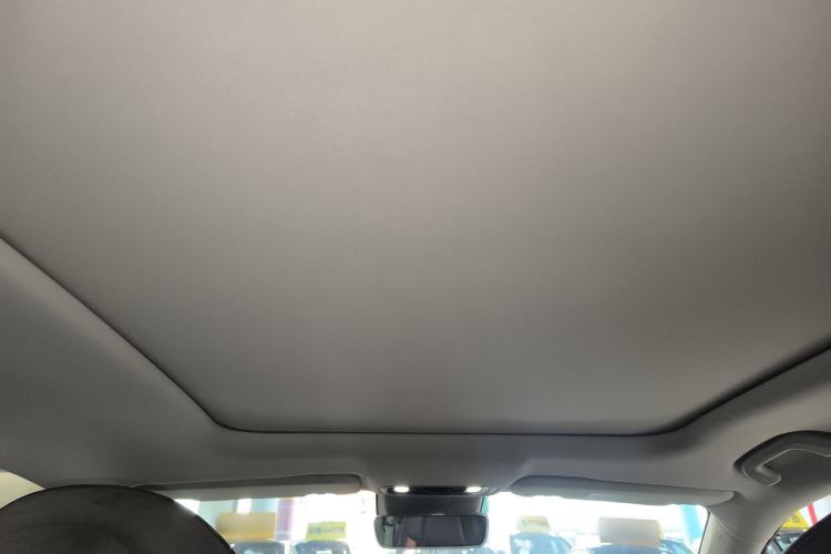 Used Leapmotor C11 2021 Deluxe Edition Headliner