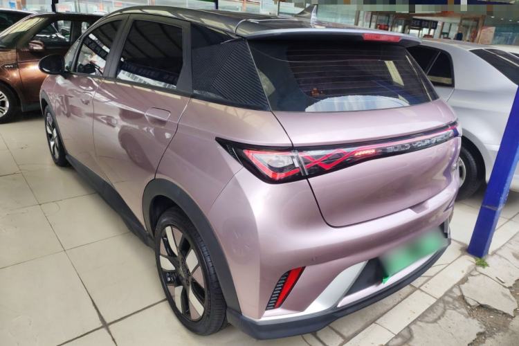 Used BYD Dolphin 2021 401km Knight Edition Rear Left 45 Deg