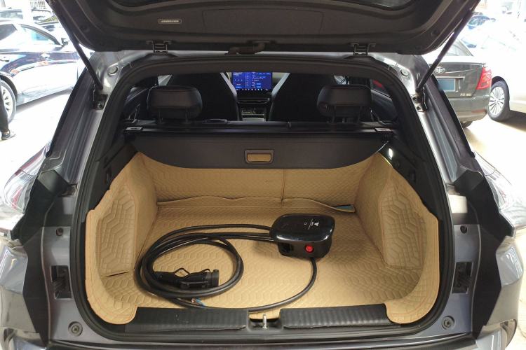 Used NETA X 2023 500