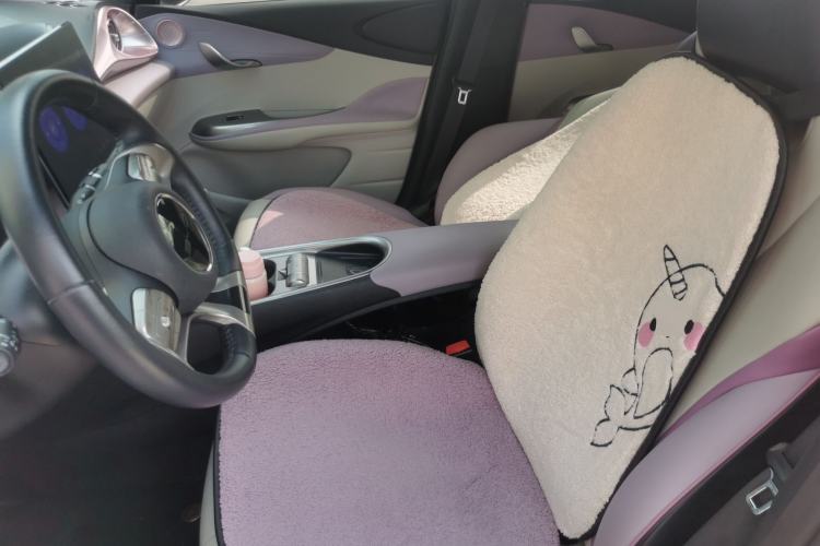 Used BYD Dolphin 2021 401km Knight Edition Left Front Seat