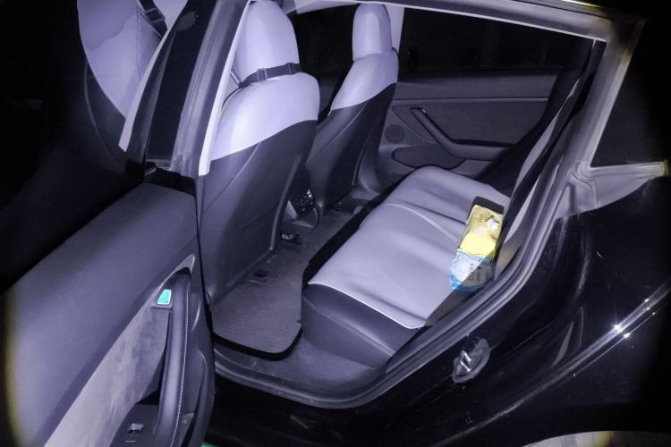 Used Tesla Model 3 2022 Rear-Wheel-Drive Version
