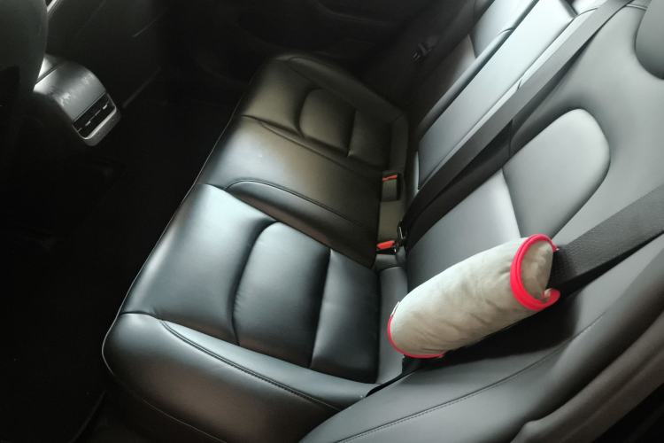 Used Tesla Model 3 2020 Long-Range Rear-Wheel-Drive Version Left Rear Seat