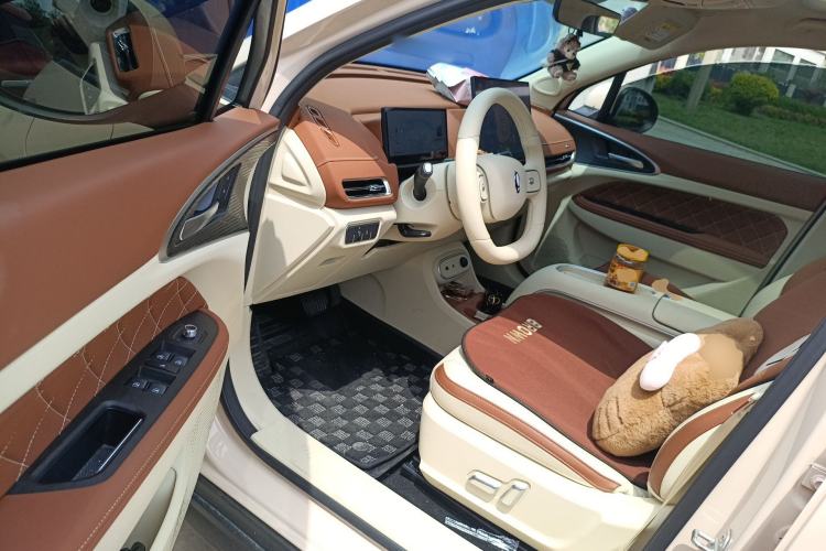 Used ORA Good Cat 2025 Model, 430 km Luxury Version Driver Seat