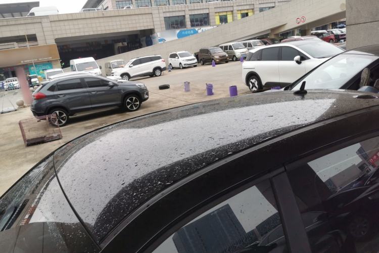 Used ORA Black Cat 2021 301km Cute Pet Edition