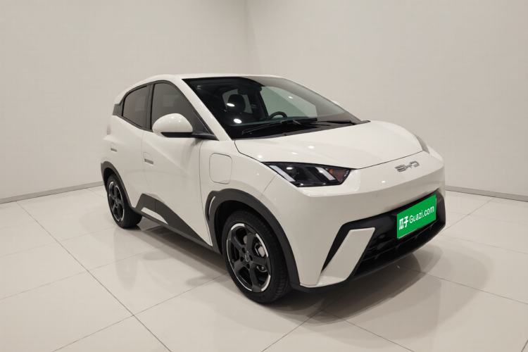 Used BYD Seagull 2023 Free Edition Exterior 1