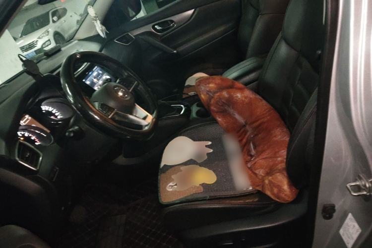 Used Nissan Qashqai 2019 2.0L CVT Flagship Edition
