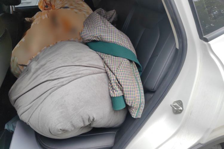 Used NETA V 2022 Long-Range Industry Custom Edition Left Rear Seat