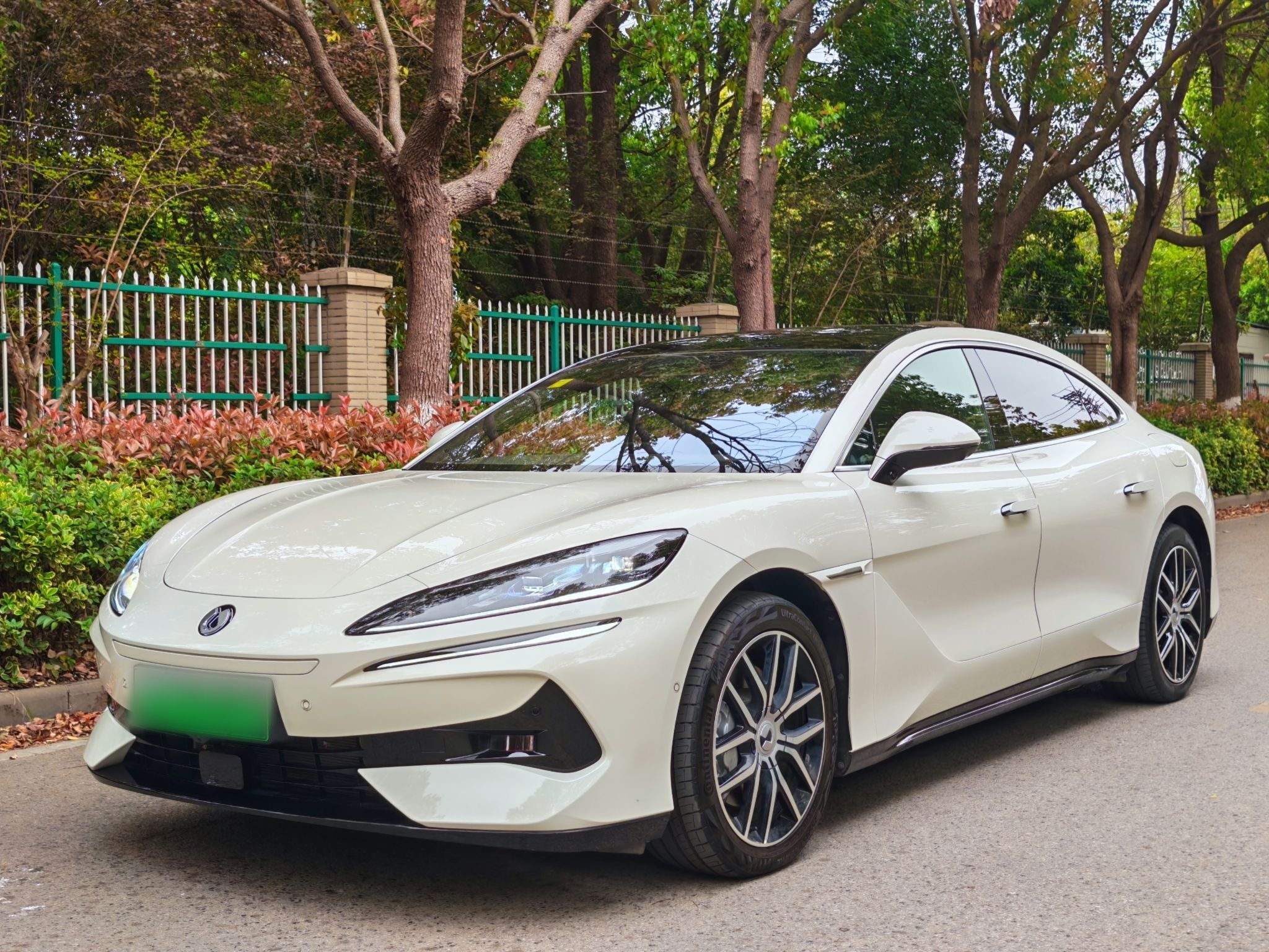 Parte inferior delantera