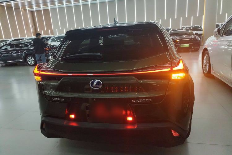 Used Lexus UX New Energy 2020 300e Pure·Joy Edition Rear