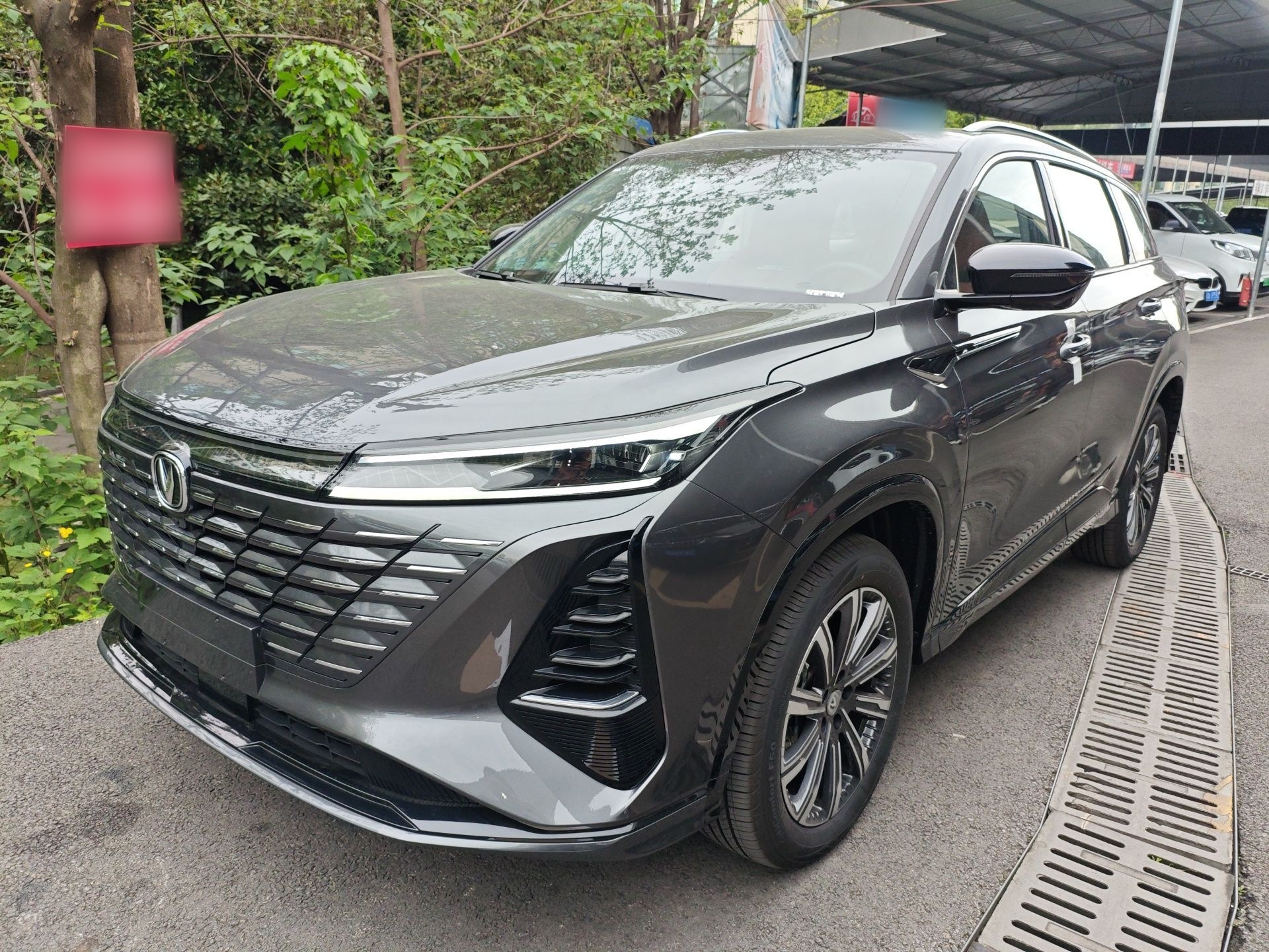 Parte inferior delantera