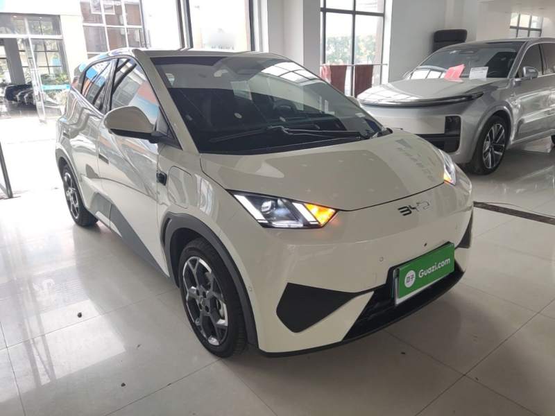Used BYD Seagull 2025 Smart Drive Version 305 km Freedom Edition — 3