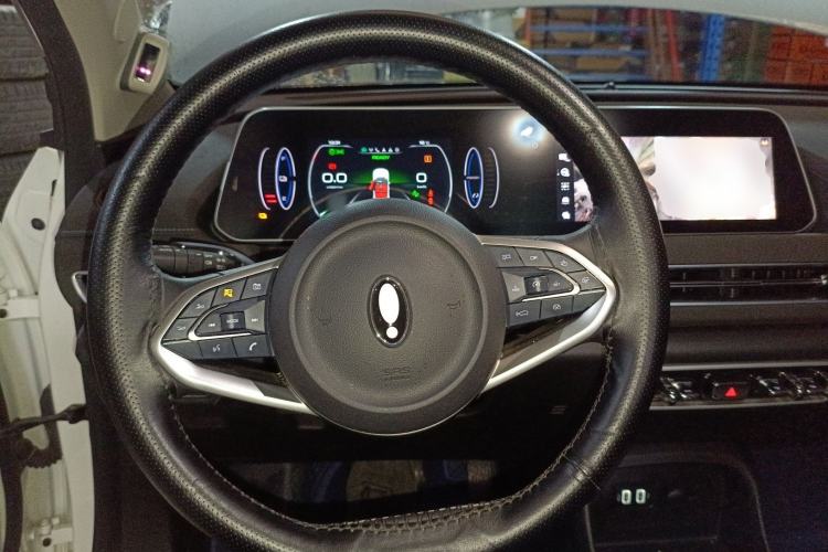 Used ORA Good Cat 2021 400km Standard Range Athena Edition Lithium-Ion Battery
