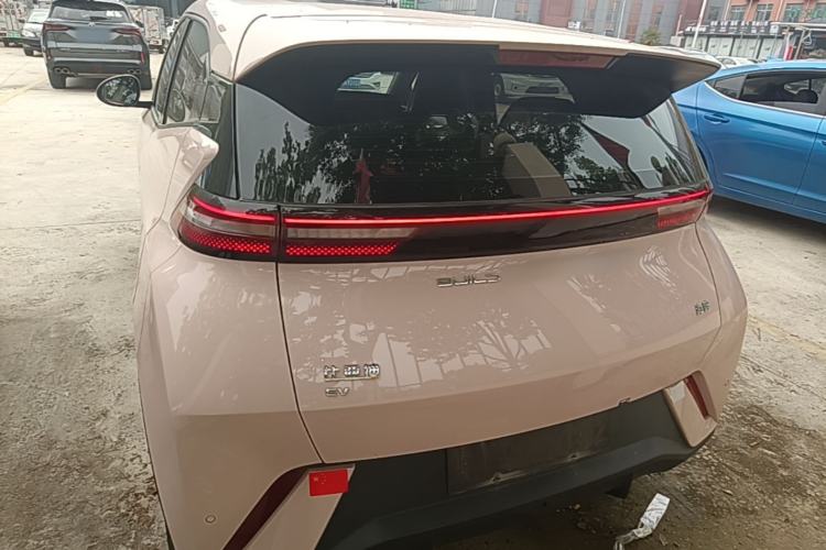 Used BYD Seagull 2023 Flying Edition Rear